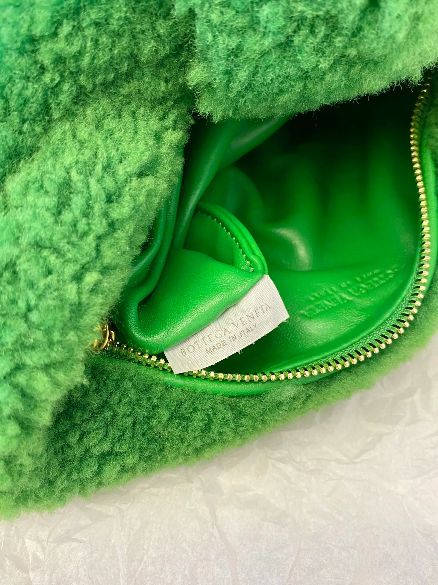 Random photoshoot ~ Fluffy jodie parrot green💚